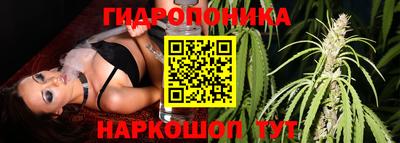 мяу мяу мука Кулебаки