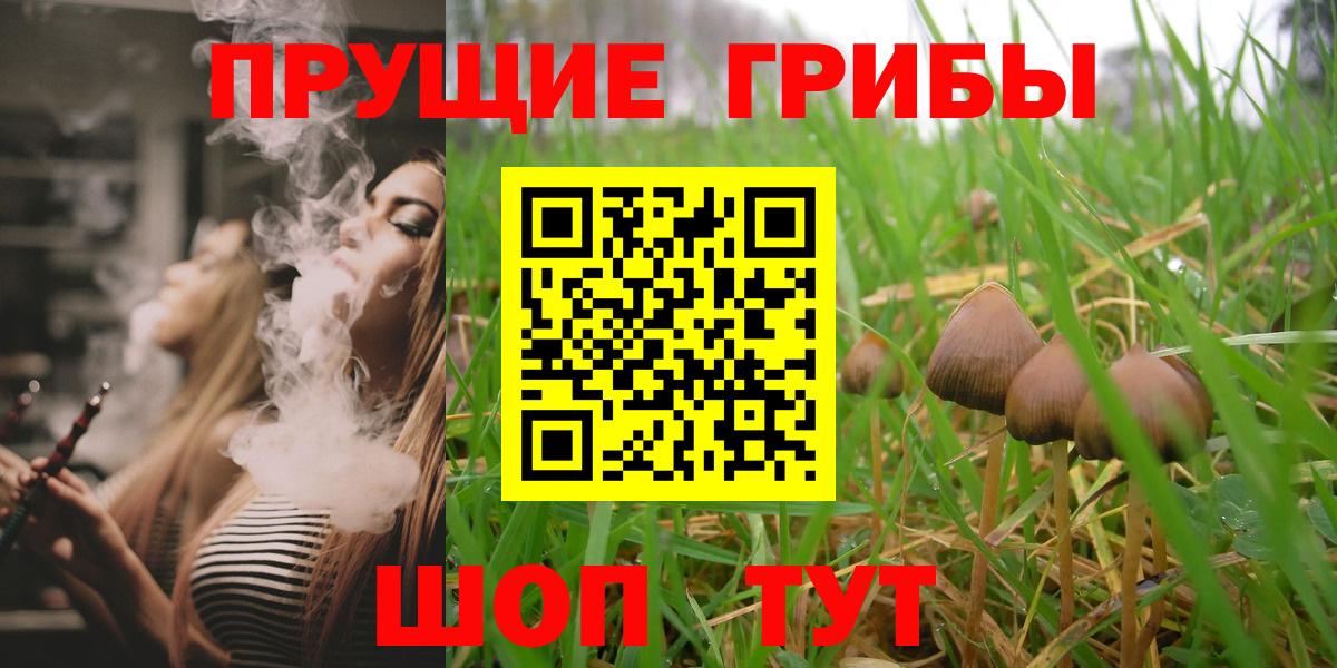 Псилоцибиновые грибы Psilocybine cubensis  Вход с VPN  Казань 